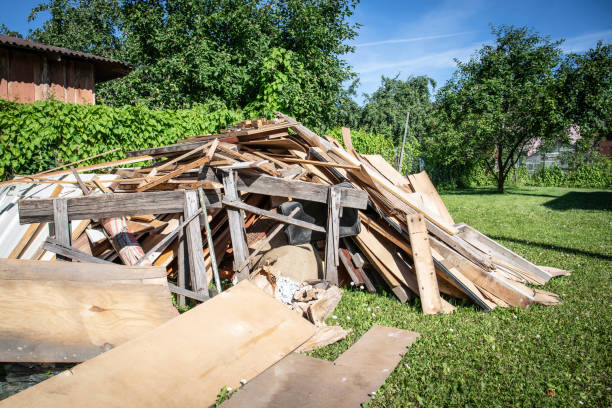 Best Shed Removal  in Johnston City, IL